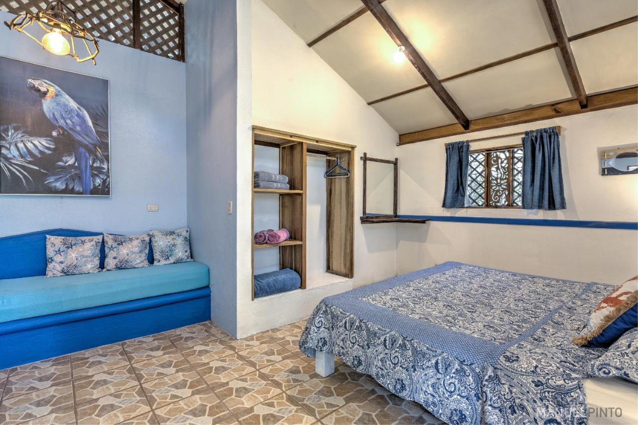 Casa Violeta Beach House In بونتا أوفا المظهر الخارجي الصورة