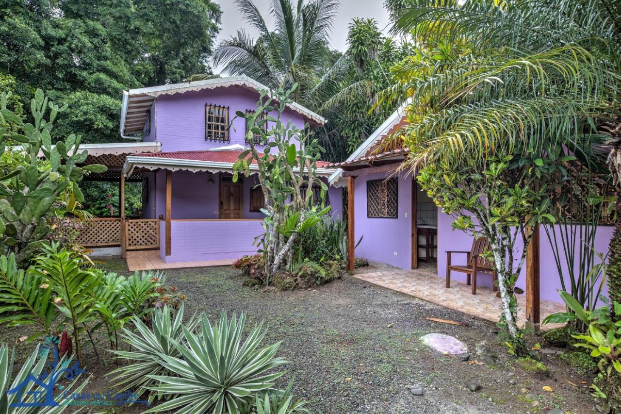 Casa Violeta Beach House In بونتا أوفا المظهر الخارجي الصورة