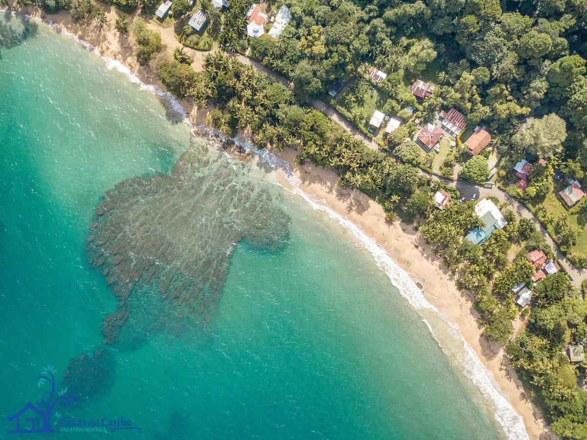 Casa Violeta Beach House In بونتا أوفا المظهر الخارجي الصورة